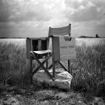 The Director's Chair